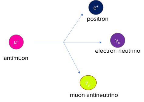 antimuon